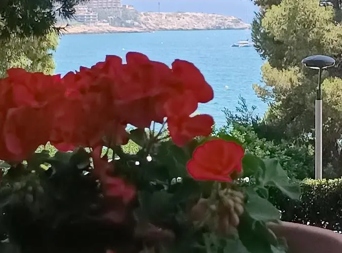Beach & Flowers Free Parking