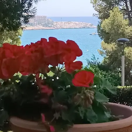Beach & Flowers Free Parking Salou Esterno foto