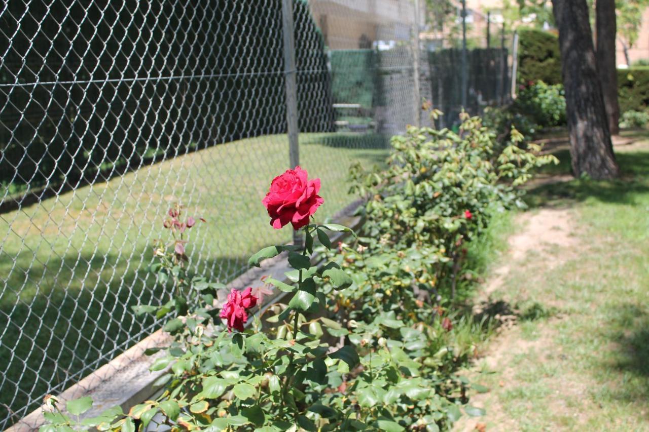 & Flowers Free Parking Apartment