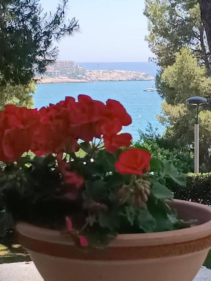 & Flowers Free Parking Salou