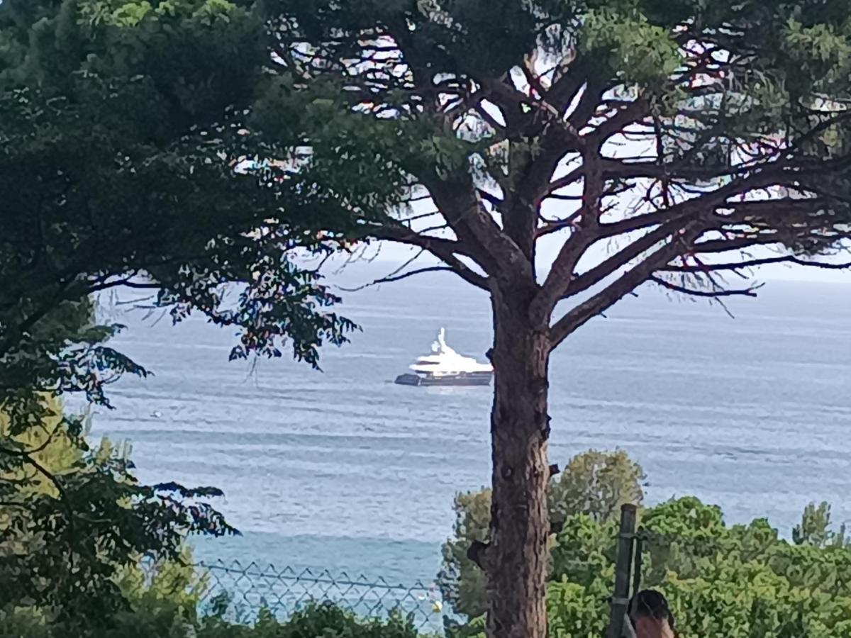& Flowers Free Parking Apartment Salou